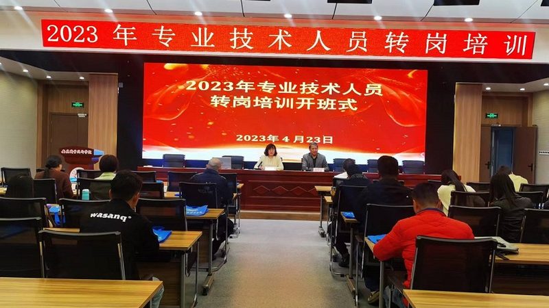 企业培训案例与培训方案：本质区别与选择要点
